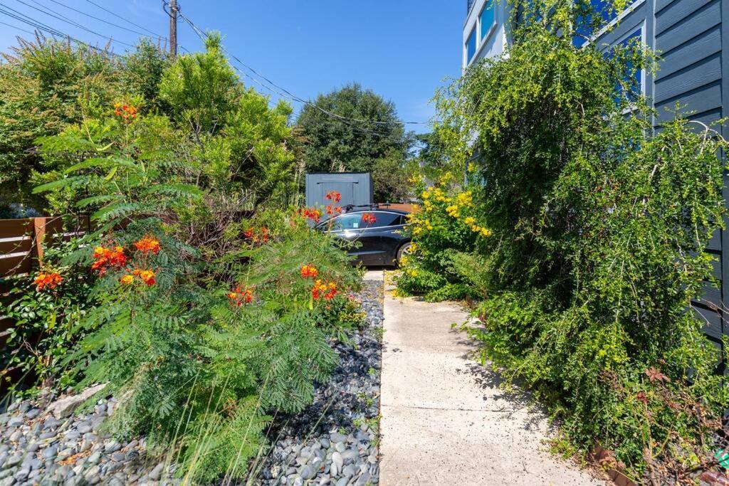 Luxury Modern Home In Dt Austin Exterior photo